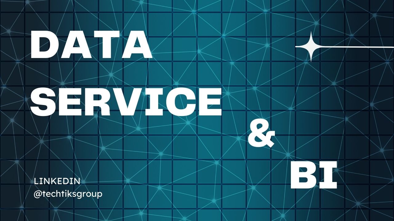 Data Service & Bi